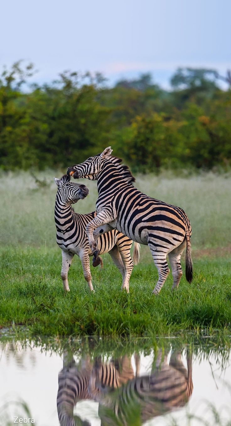 Nairobi National Park