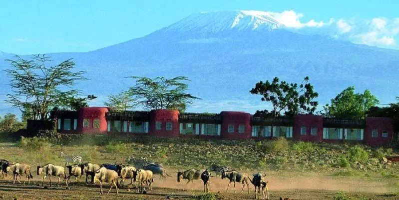 The Amboseli Serena during the Beginner’s Safari Guide