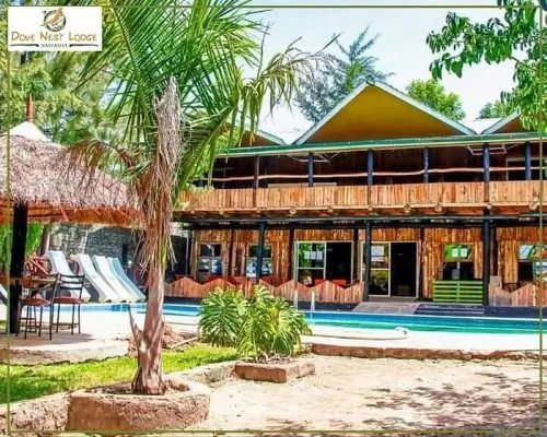 How to Book The Best Safari: Luxury Kenya Safari Packages 2026 2 Luxury Kenya Safari Packages dove nest with kairi travels