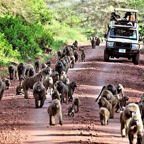 Lake Manyara National Park