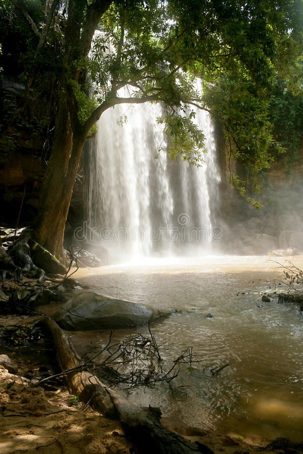 Sheldrick Falls in Shimba Hills