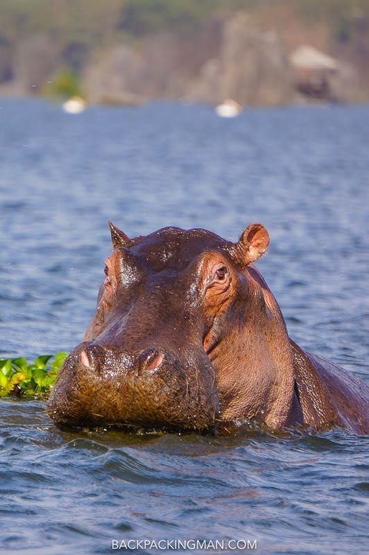 The Best 5-Days Masai Mara Hell’s Gate Ultimate Safari 5 L.Naivasha boat ride and Hell's gate hiking & biking