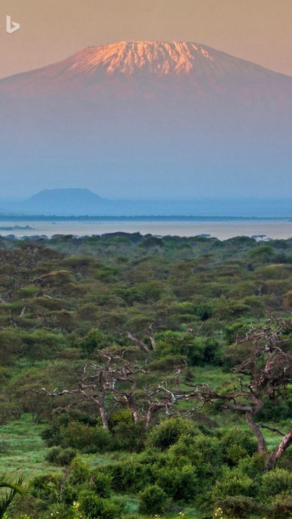 mount kilimanjaro