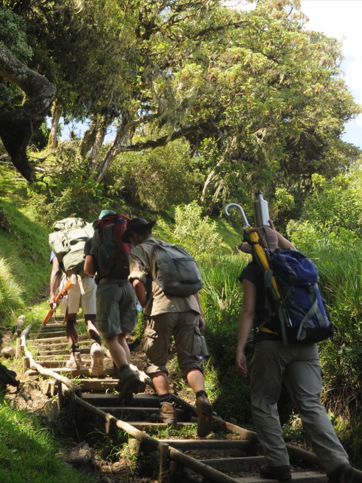Mount Meru mountain climbing