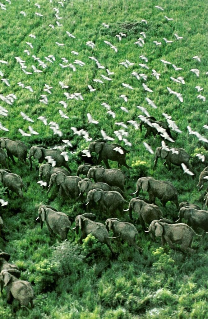 Murchison Falls
