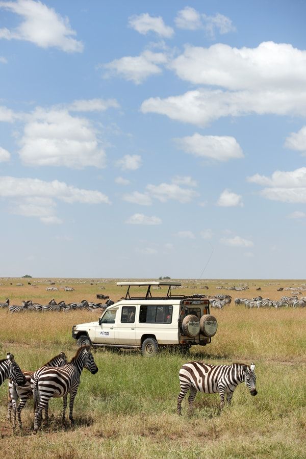 Afternoon game drive spotting lions in Masai Mara