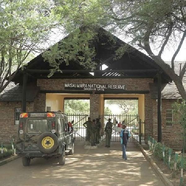 Game Drive in Hotel Booking Accommodation
