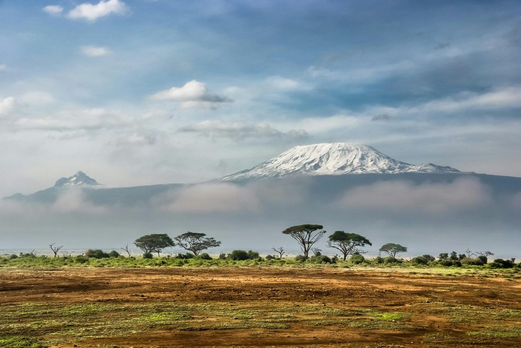 Wildlife Safari Adventure Mount Kenya with Kairi Travels