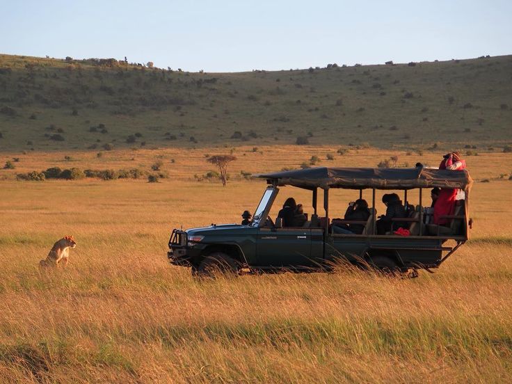 3 Days Masai Mara Group Joining Safari : The Best Value 1 Masai Mara Group Joining Safari by Kairi Travels