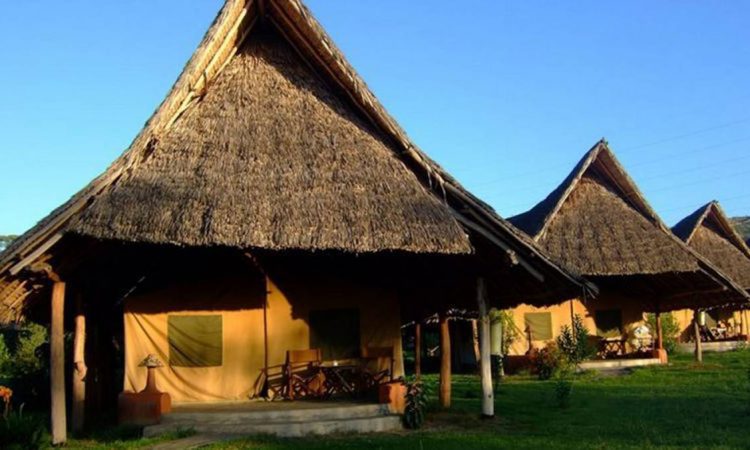 Midrange and Luxury Safari in Kenya