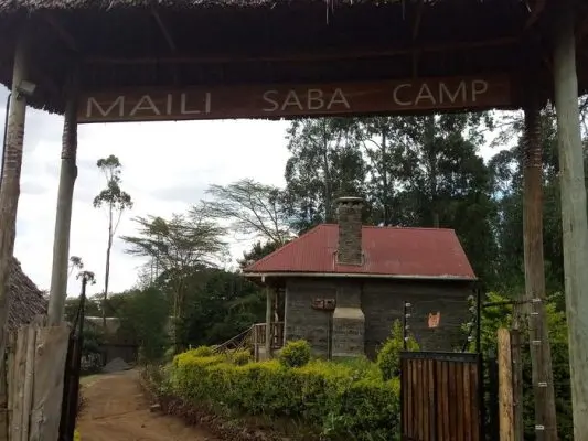 Lake Nakuru and Lake Naivasha Safari   Safari in Kenya