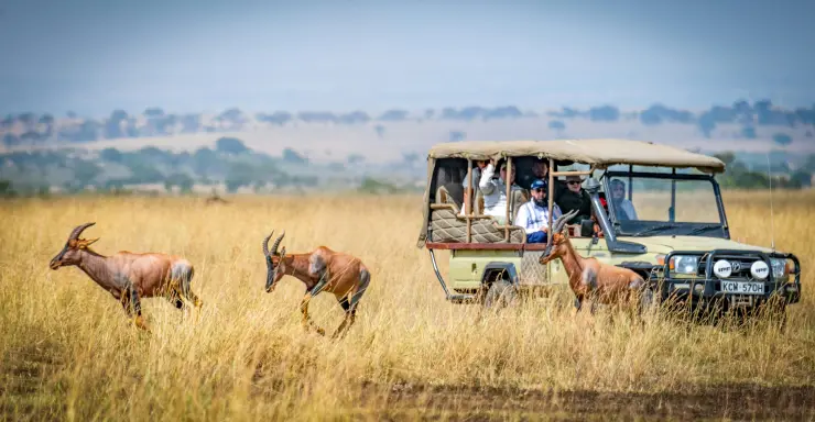 Masai Mara Group Joining Safari Safaris with Kairi Travels