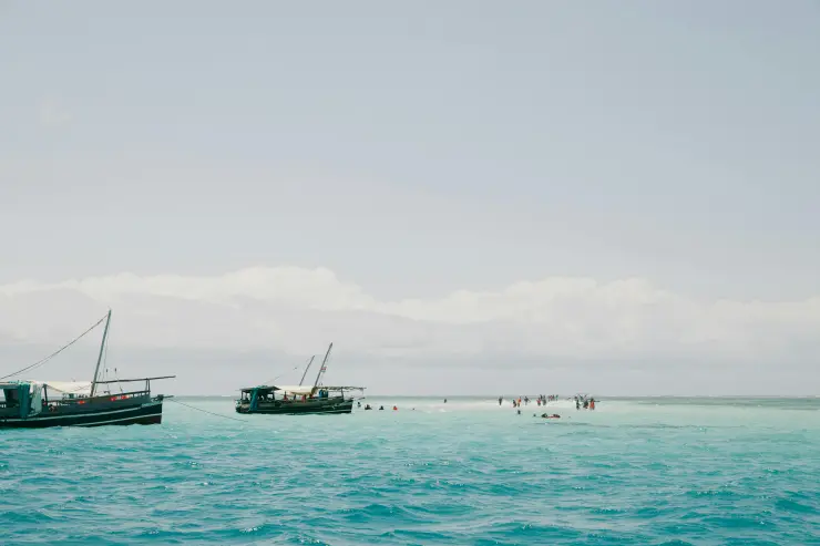 Lake group joining safaris