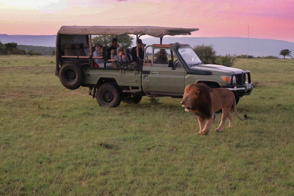 3 Days Masai Mara Group Joining Safari : The Best Value 10 meg von haartman atzjD7UuxcI unsplash