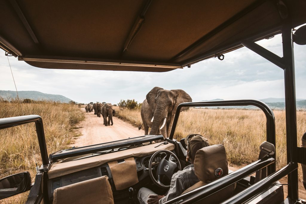 3 Days Masai Mara Group Joining Safari : The Best Value 7 redcharlie nf7W hn6DKQ unsplash