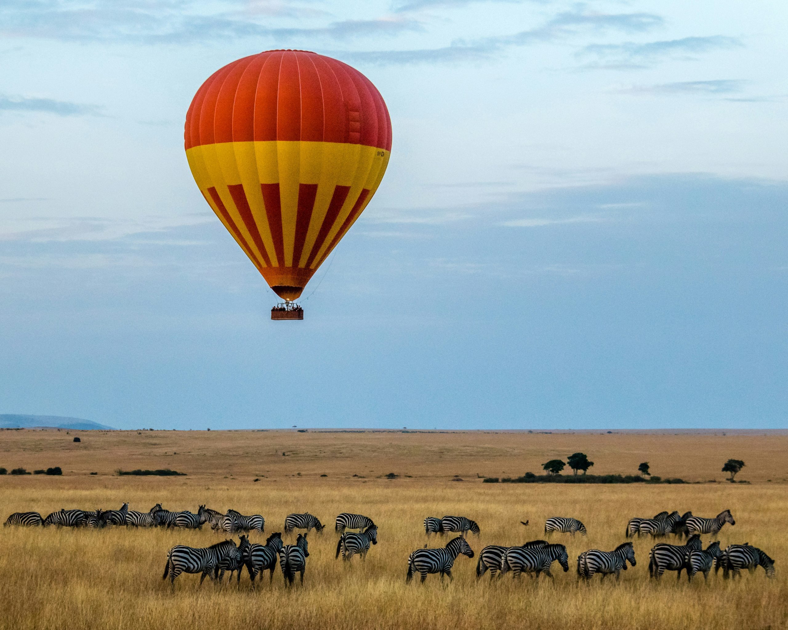 Hot air balloon floating above grazing zebras during a Masai Mara and Lake Nakuru safari