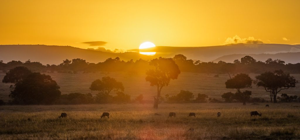 Masai Mara: Your Ultimate Wildlife Safari Adventure 2026 11 Masai Mara at Sunset