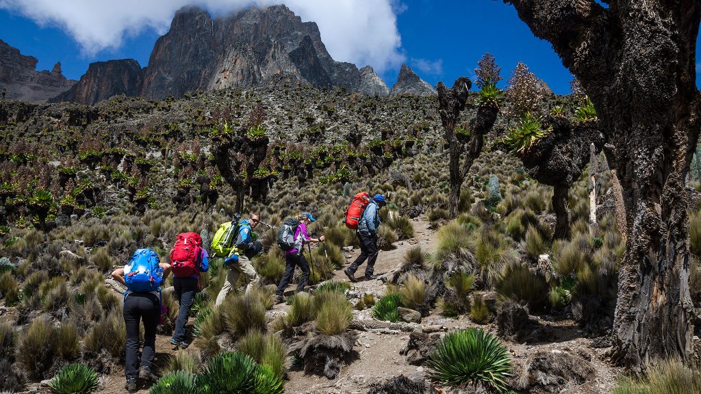 Kenya Safari Holidays Wildlife Safari Adventure mt kenya with Kairi Travels