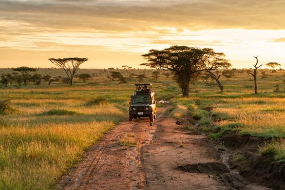 Kenya Safari Holidays Kenya Safari Planning Tips 2026 from Nairobi Kenya with Kairi Travels