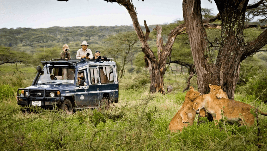 Masai Mara safari for Ugandans 2026 trip