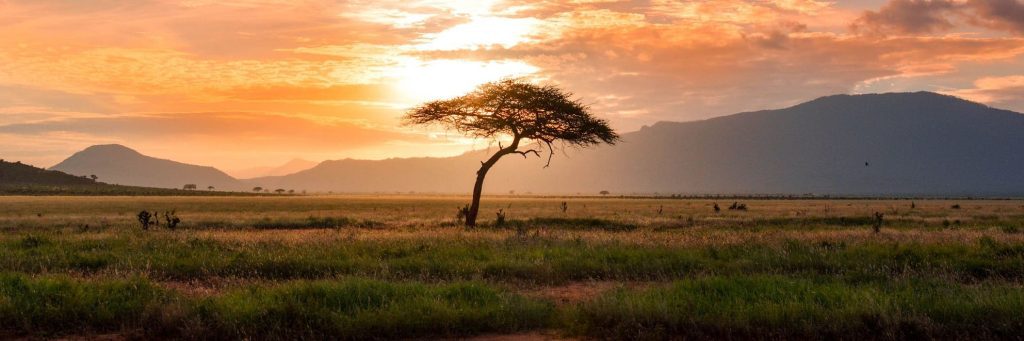 sunset during the masai mara safari packages drive