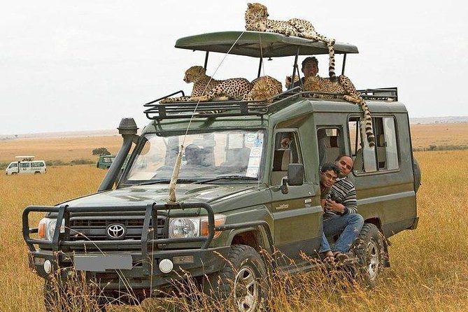 Tourist strolling with the wild during the 5-Days Tarangire Ngorongoro Serengeti Safari
