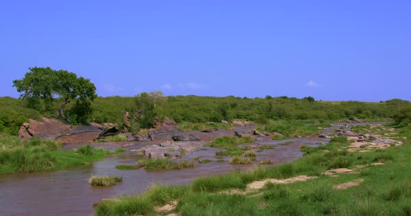 Talek vibrant environment during the Eco-Friendly Safaris in Kenya 2026