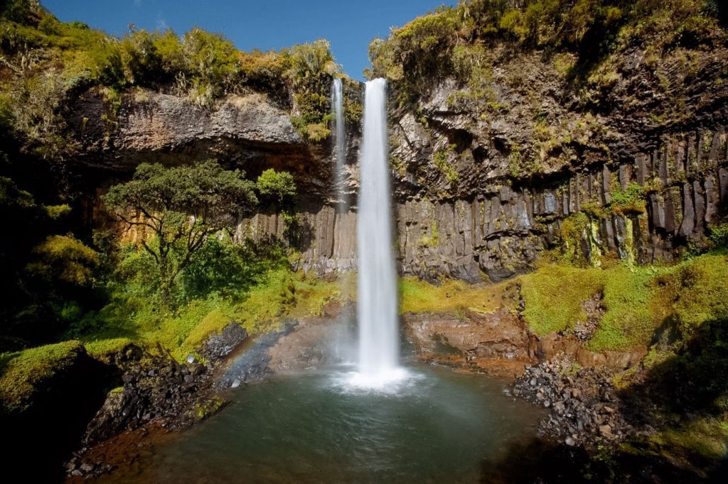 The Best 3-Days Safari Murchison Falls Park 4 Wildlife Safari Adventure