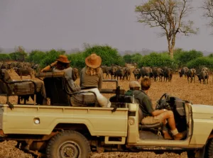 Great Migration Safari in the kenya safari holiday tour