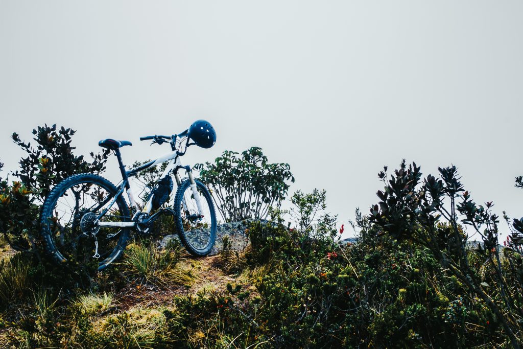 lake naivasha boat-ride and hells-gate hiking and biking