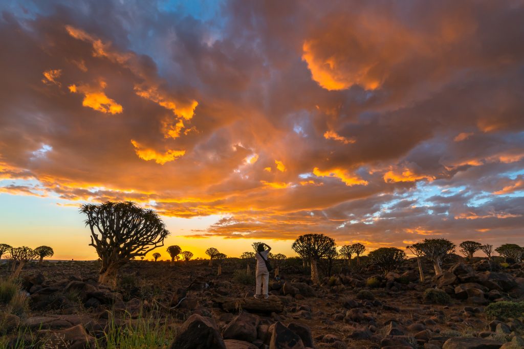 Wildlife Safari Adventure at the Best 3-Day Safari Bwindi Impenetrable National Park