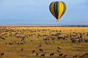 masai mara safari packages Hot air balloon safari over Masai Mara during 3-day fly-in safari