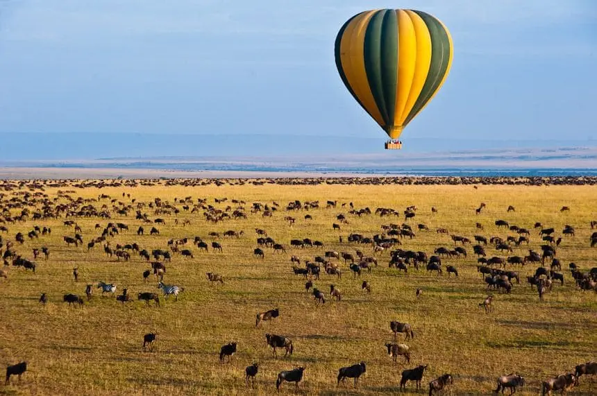 masai mara safari packages Hot air balloon safari over Masai Mara during 3-day fly-in safari