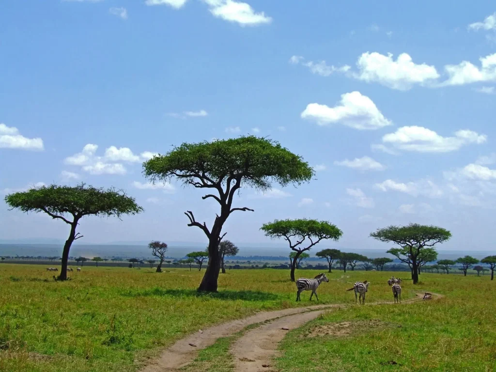 mara triangle