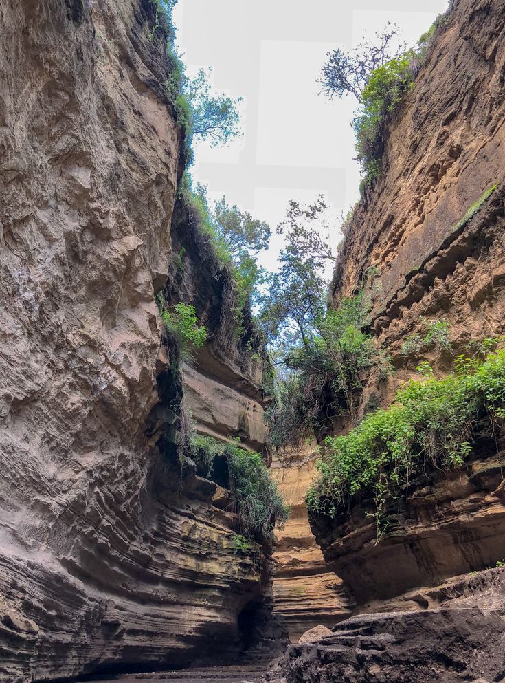 Looking up through the towering rock walls of Hell's Gate gorge during an affordable group safari Kenya tour