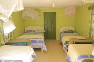 rhino luxury camp safari packages