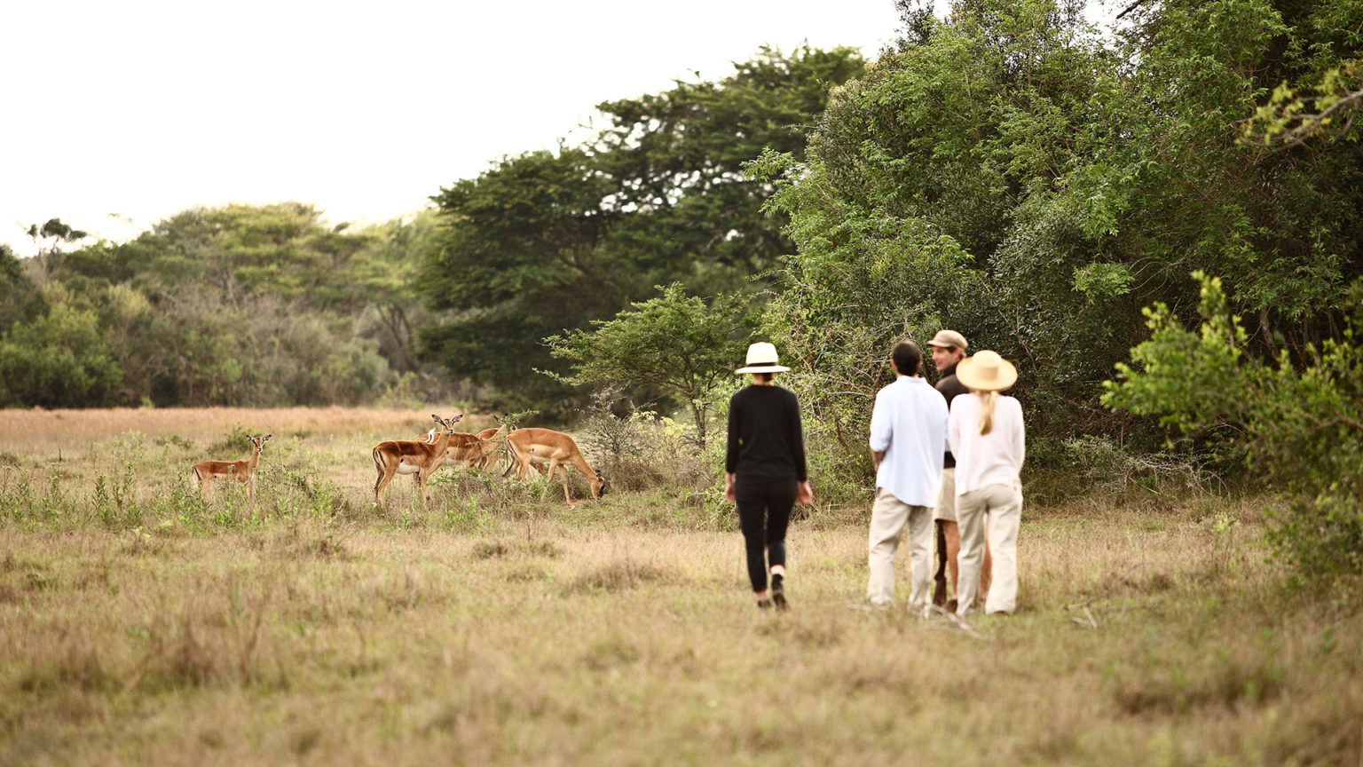 masai mara safari packages guided nature walks and bush treks in masai mara