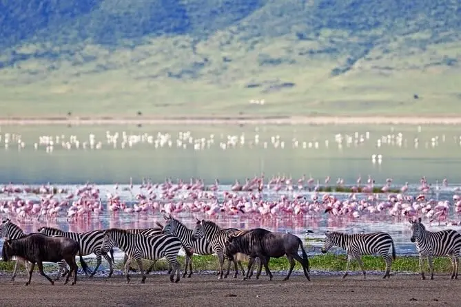 lake naivasha